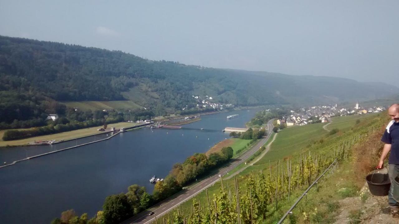 Weingut Sauer-Kettermann Villa Enkirch Exteriör bild