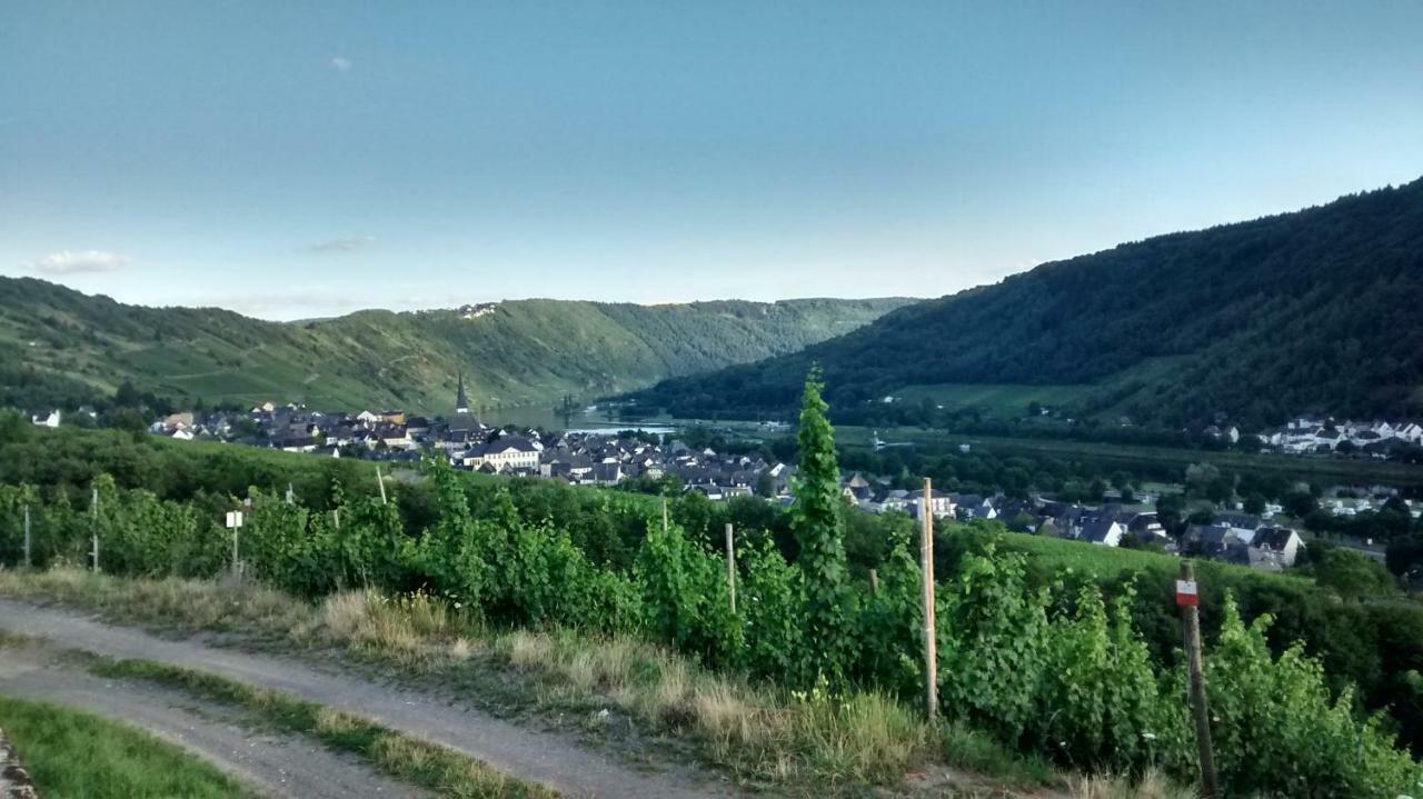 Weingut Sauer-Kettermann Villa Enkirch Exteriör bild