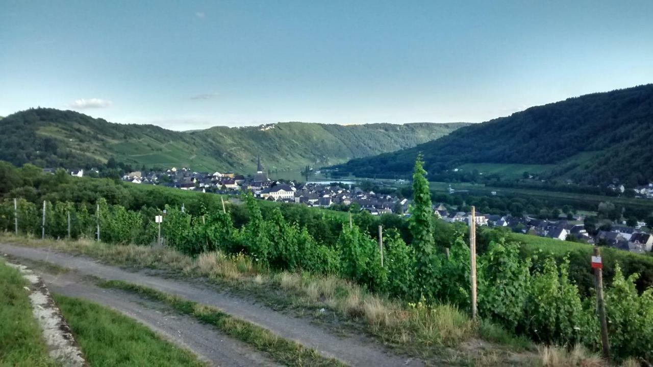 Weingut Sauer-Kettermann Villa Enkirch Exteriör bild