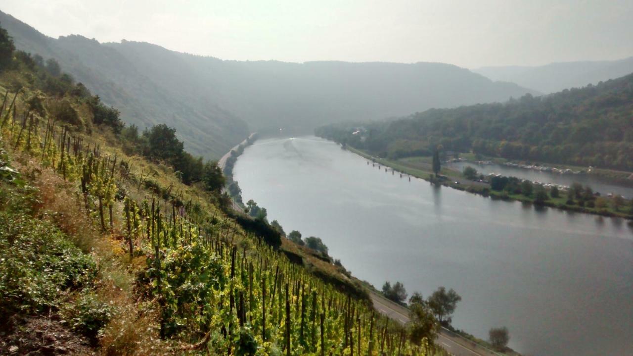 Weingut Sauer-Kettermann Villa Enkirch Exteriör bild